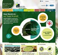 Superbroccoli website screen by Barry Jarvis, freelance web developer in Norwich, Norfolk