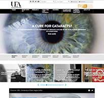 UEA website screen by Barry Jarvis, freelance web developer in Norwich, Norfolk